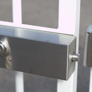 Gate Locks